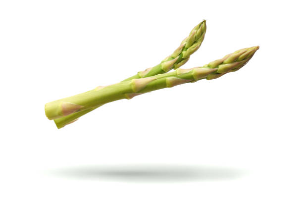 흰색에 고립 된 비행 녹색 아스파라거스 콩나물 - asparagus vegetable isolated freshness 뉴스 사진 이미지