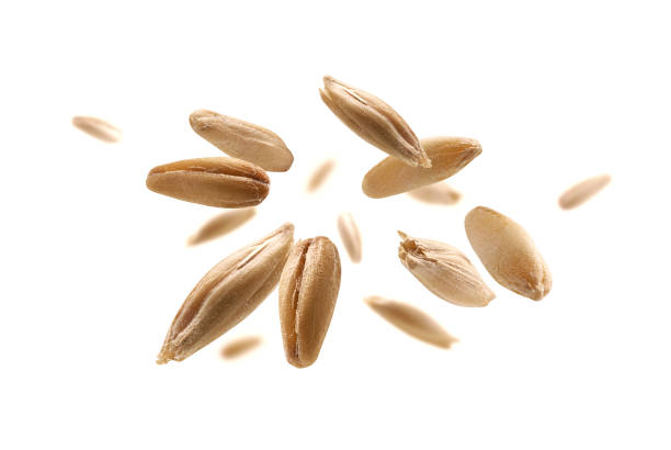 istock Oat grains levitate on a white background 1386412646