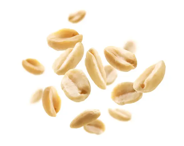 Photo of Peeled peanuts levitate on a white background