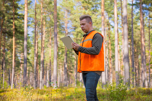 Forester using digital tablet in forest