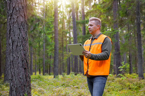 Forester working and using tablet in forest