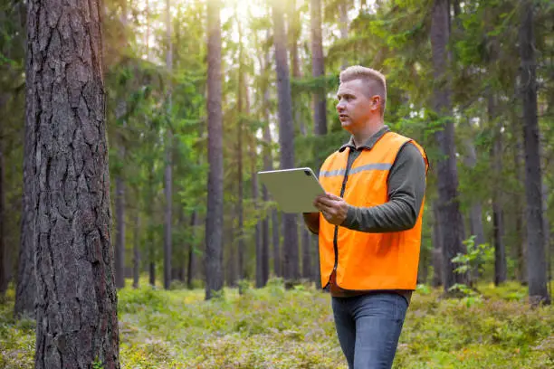 Photo of Forester working and using tablet in forest