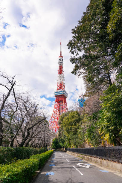 istock From Shiba Park to Tokyo Tower (Minato-ku, Tokyo) 1386422139