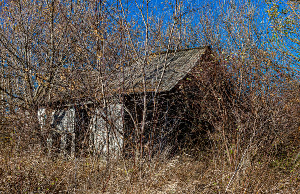 istock old abandoned village house standing among the trees 1386435987