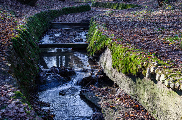 istock shallow stream flowing through a canal in the park 1386436154
