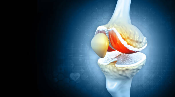 istock Anatomy of human knee joint.3d illustration 1386437672