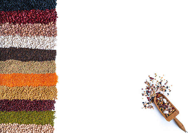 Assorted dried legumes in a row lines isolated on white copy space with soybean, chickpeas, lentils and beans with wooden serving scoop