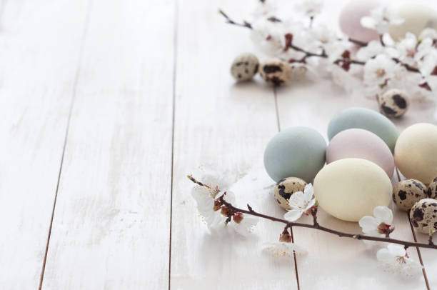 istock Colored chicken and quail eggs with spring flowering twigs on a white wooden background. Easter holiday concept. spring background 1386449454