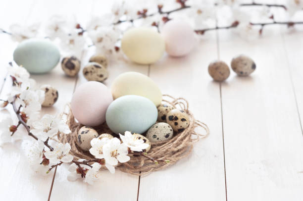 istock Colored chicken and quail eggs with spring flowering twigs on a white wooden background. Easter holiday concept. spring background 1386449457