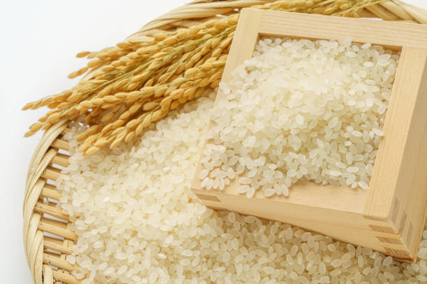 istock Japanese rice on white background 1386450468
