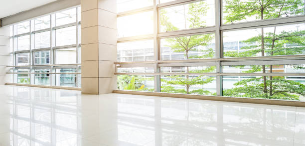 Empty corridor in modern office building with green tree outside the window