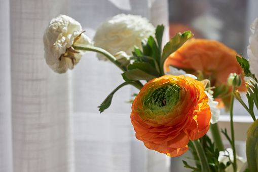 beautiful flowers in glass vase beside window