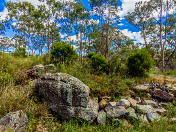 Aerial View at Old Womens Swamp out near Torrington, NSW, Australia, photograph taken from a DJI Mavic Air 2 drone at 48MP