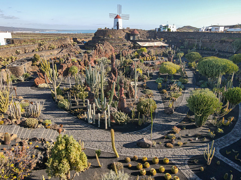 Lanzarote, Spain - 20 January 2021: Museum of Jardin de cactus at Lanzarote on Canary island in Spain
