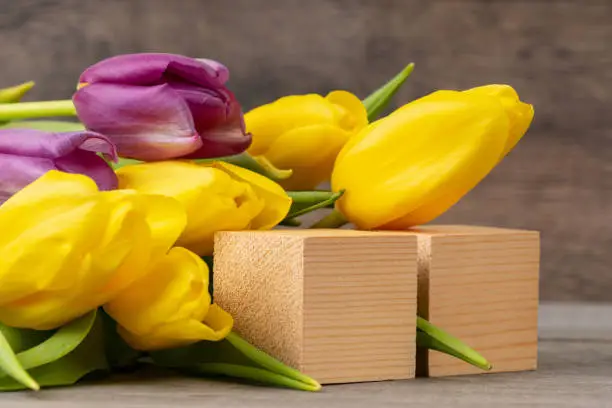 yellow and violet tulips on wooden table with blank wooden blocks