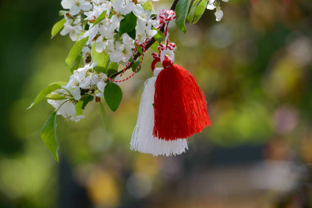 istock Traditional Bulgarian Martenitza on a cherry blossoming tree. Baba Marta celebration. first signs of spring. 1386474548