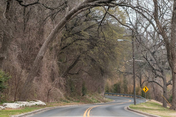 estrada sinuosa sob árvore arqueada - waco - fotografias e filmes do acervo