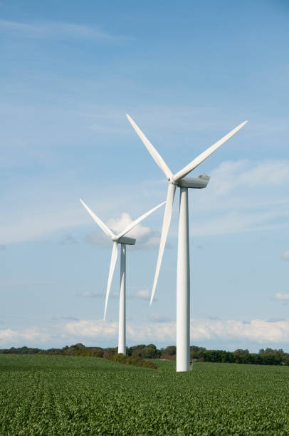 duas turbinas eólicas em campo verde - landscape alternative energy scenics farm - fotografias e filmes do acervo