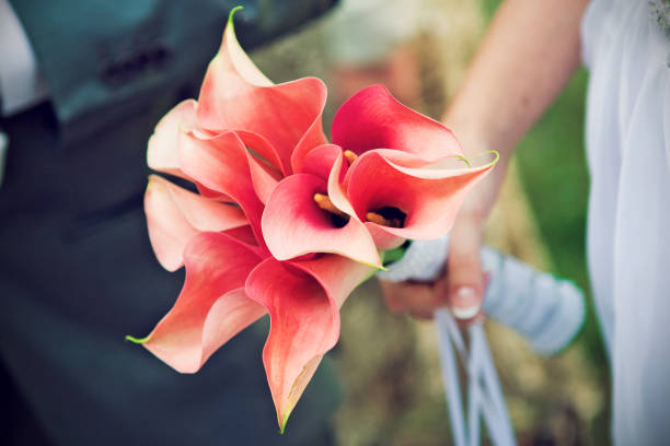 Bridal bouquet stock photo