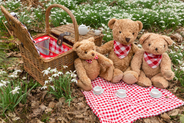 Teddy Bear's picnic in woodland amongst early Spring snowdrops. Three teddy bears having tea on a red and white gingham table cloth with traditional wicker picnic basket and white tea cups. Teddy Bear's picnic in woodland amongst early Spring snowdrops. Three teddy bears having tea on a red and white gingham table cloth with traditional wicker picnic basket and white tea cups.  Horizontal.  Copyspace. snowdrops in woodland stock pictures, royalty-free photos & images