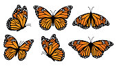 Monarch butterflies set. Vector illustration isolated on white background