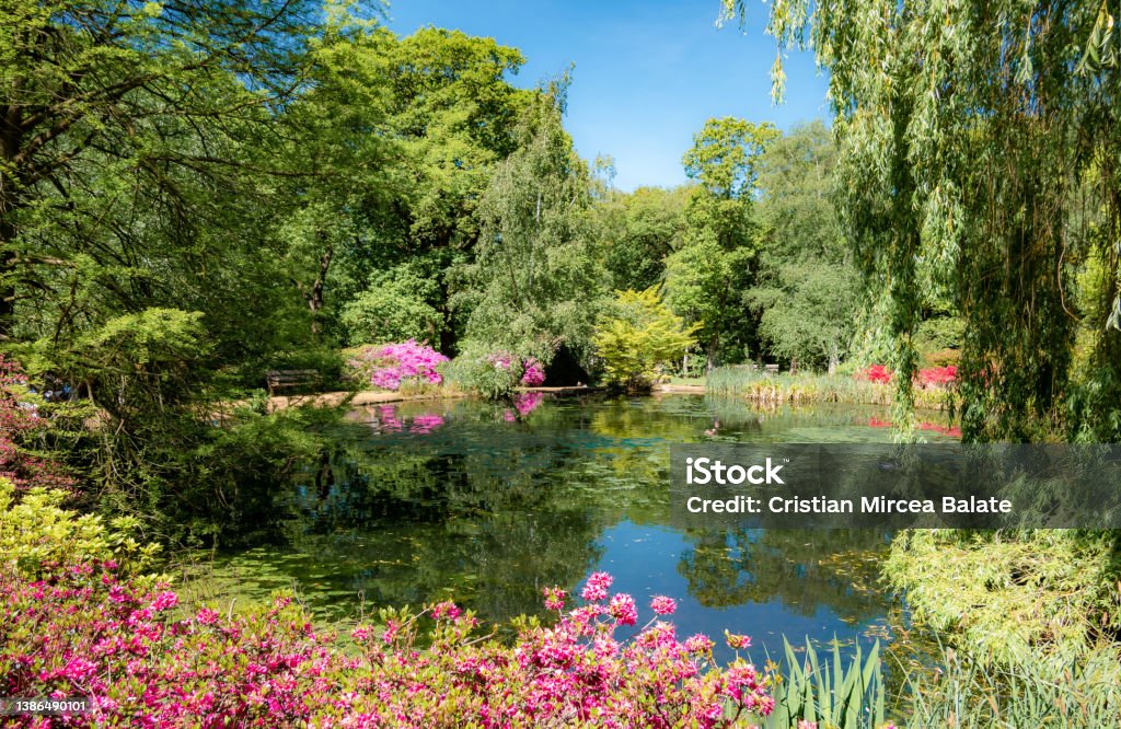 Spring beautiful garden in London Beautiful flower garden and a small pond in the spring season in London Summer Stock Photo