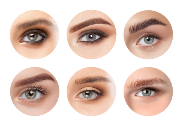16,700+ Eyebrow Shape Stock Photos, Pictures & Royalty-Free Images - iStock