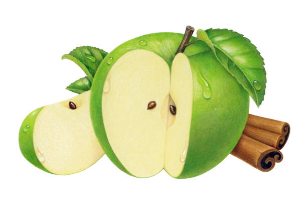 яблоки бабушка смит и корица - wet apple stock illustrations