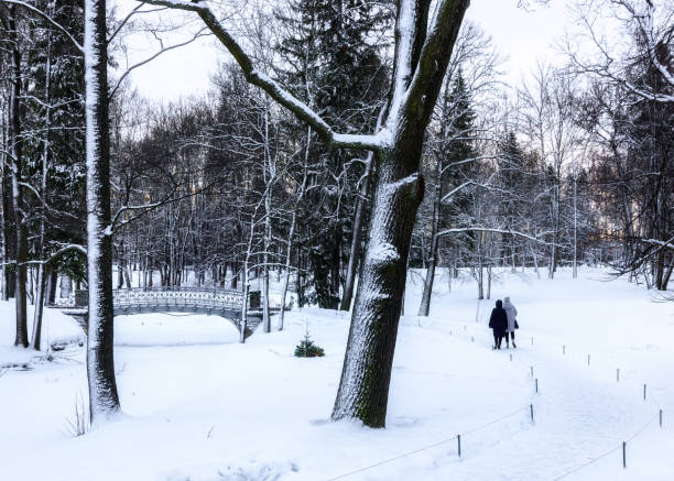 istock Bridges in a snowy winter park 1386494138