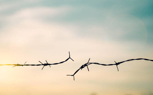 barbed wire fence with sunset twilight sky. broke spike change transform to bird boundary concept for human rights slave prison hostage hope to freedom. international liberty day. abolition of slavery - day to sunset imagens e fotografias de stock