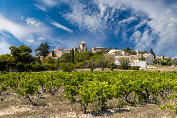 Typical vineyard near Vinsobres, Cotes du Rhone, France stock photo