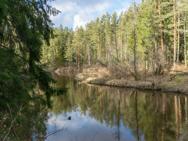 istock river view in early spring, beautiful cloud reflections in water 1386503990