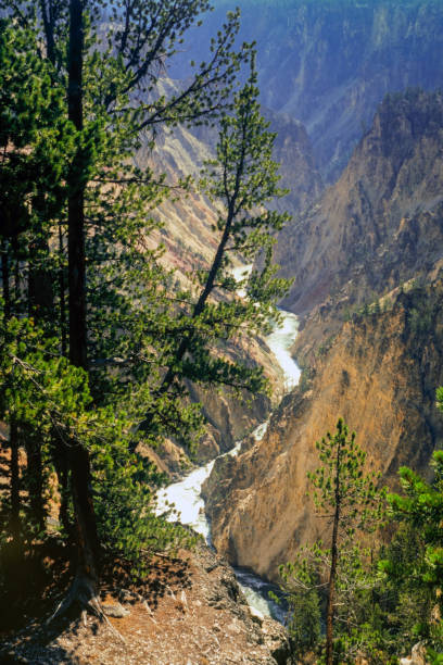 istock Yellowstone River in the National Park 1386504739