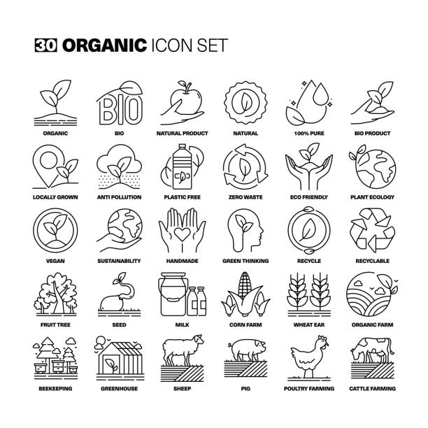 ilustrações de stock, clip art, desenhos animados e ícones de organic line icons set - apicultor ilustrações