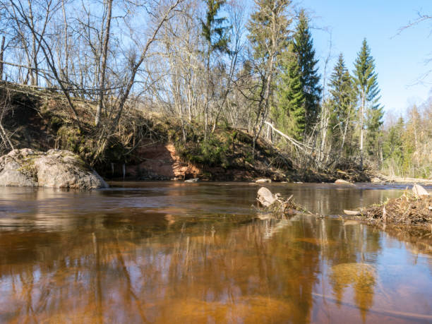istock Small rivers with stones in long exposure 1386505369