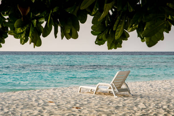 A beach bed in the shade of trees on a white tropical beach.