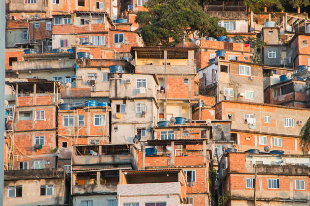 istock favela peacock in copacabana in Rio de Janeiro. 1386507022
