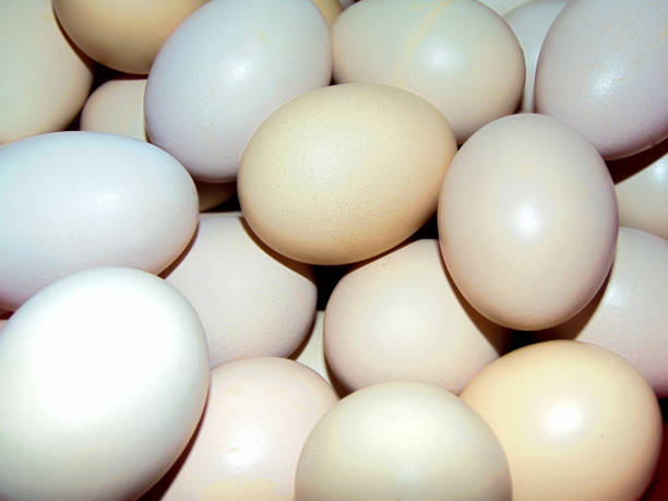 istock group of chicken eggs - closeup 1386508017