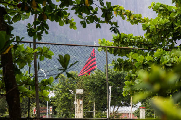 flamengo flag in rio de janeiro, brazil - maracana stadium stadium rio de janeiro tree - fotografias e filmes do acervo