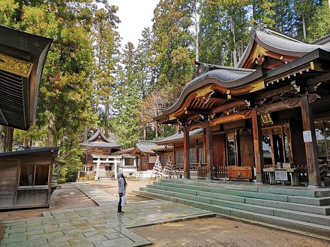 31 march 2019 - Takayama, Japan: Tourist at Sakurayama Hachimangu Shrine in Takayama, Japan