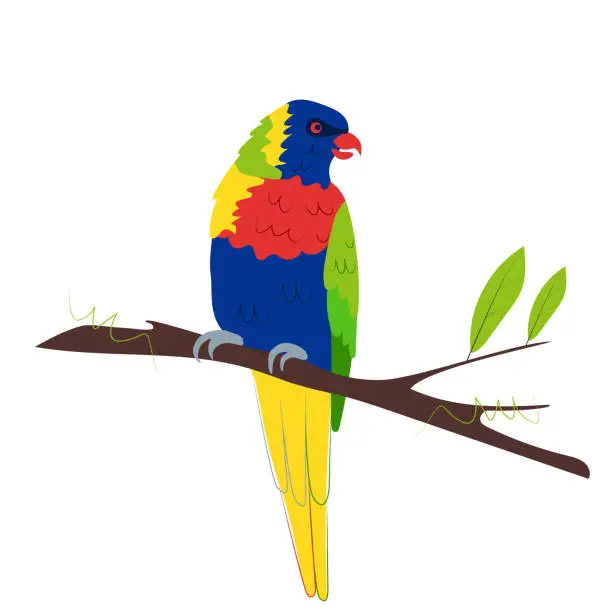 Vector illustration of Rainbow Lorikeet is sitting on a branch