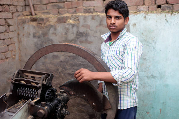 Young men sharpening the blade of chaff cutter