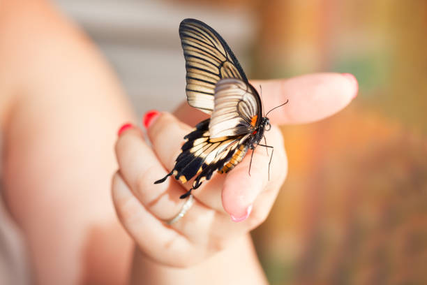 istock Colorful butterfly on female hand. Close up macro image 1386513717