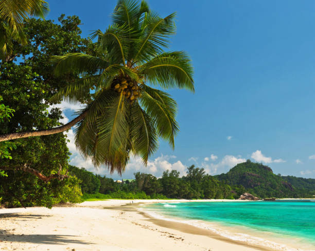 istock Seychelles pictures 1386517047
