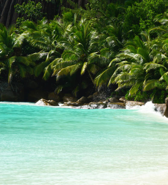 istock Seychelles pictures 1386517091