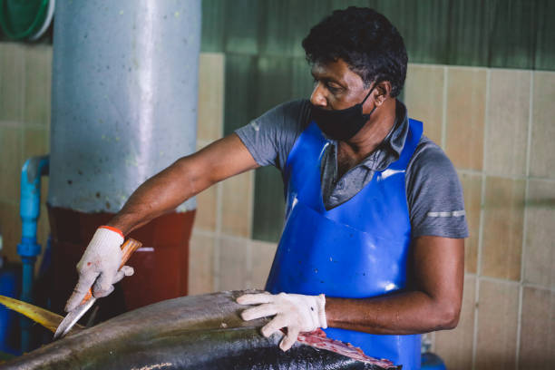 Local Maldivian Fisherman butcher a Big Tuna Fish on the Central Market of Male City Male, Maldives - June 25, 2021: Local Maldivian Fisherman butcher a Big Tuna Fish on the Central Market of Male City maldives fish market photos stock pictures, royalty-free photos & images