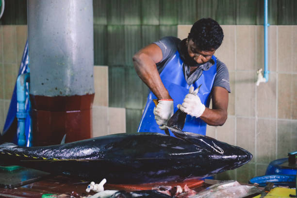 Local Maldivian Fisherman butcher a Big Tuna Fish on the Central Market of Male City Male, Maldives - June 25, 2021: Local Maldivian Fisherman butcher a Big Tuna Fish on the Central Market of Male City maldives fish market photos stock pictures, royalty-free photos & images