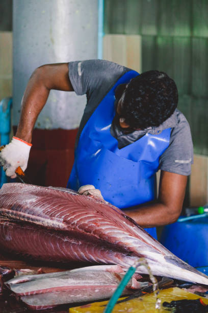 Local Maldivian Fisherman butcher a Big Tuna Fish on the Central Market of Male City Male, Maldives - June 25, 2021: Local Maldivian Fisherman butcher a Big Tuna Fish on the Central Market of Male City maldives fish market photos stock pictures, royalty-free photos & images