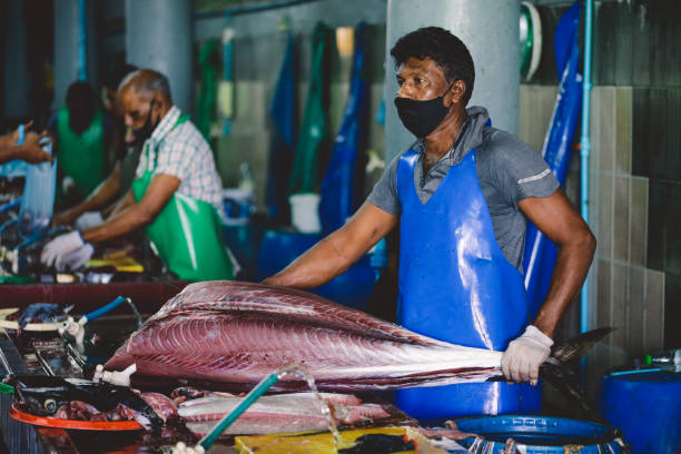 Local Maldivian Fisherman butcher a Big Tuna Fish on the Central Market of Male City Male, Maldives - June 25, 2021: Local Maldivian Fisherman butcher a Big Tuna Fish on the Central Market of Male City maldives fish market photos stock pictures, royalty-free photos & images