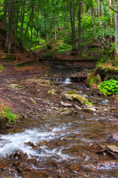 istock wooden bridge over the brook 1386525529